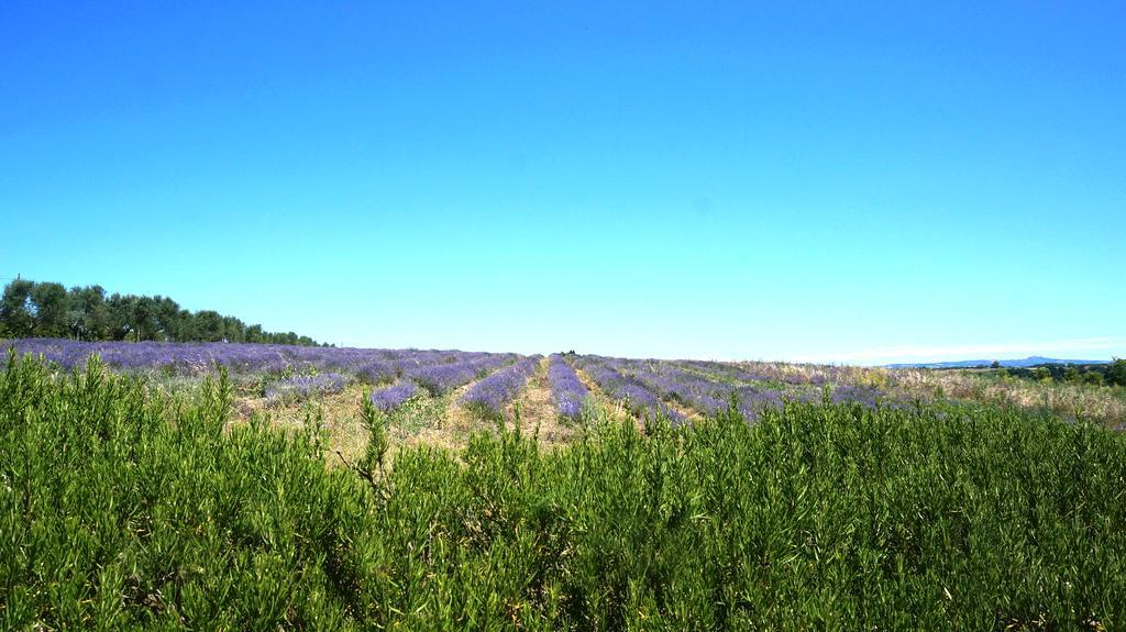 Agriturismo San Giusto Hotel Tuscania Eksteriør billede